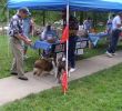 Filename : 2shelties001.jpg
Filesize : 203KB
Dimensions : 1344x1215
Date added : Jul 12, 2008 2shelties001.jpg