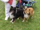 Filename : BanditRanger2001.jpg
Filesize : 218KB
Dimensions : 1536x1152
Date added : Jul 12, 2008 BanditRanger2001.jpg