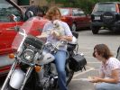 Filename : BikerPoodle.jpg
Filesize : 971KB
Dimensions : 1152x864
Date added : Jun 21, 2008 BikerPoodle.jpg