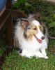 Filename : Bonnie(Bailey).jpg
Filesize : 639KB
Dimensions : 828x1036
Date added : Jun 21, 2008 Bonnie(Bailey).jpg