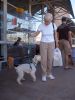 Filename : Bud and mom.JPG
Filesize : 40KB
Dimensions : 360x480
Date added : Sep 21, 2006 Bud and mom.JPG