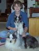 Filename : CallieFamily.jpg
Filesize : 96KB
Dimensions : 900x1175
Date added : Mar 15, 2009 CallieFamily.jpg