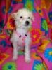 Filename : Chloe Daisy Valentine photo.jpg
Filesize : 5KB
Dimensions : 97x130
Date added : Feb 03, 2010 Chloe Daisy Valentine photo.jpg