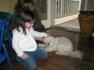 Filename : Colby and Family (2).JPG
Filesize : 54KB
Dimensions : 640x480
Date added : Mar 12, 2006 Colby and Family (2).JPG