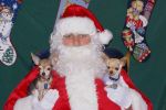 Filename : DSC04123edit.jpg
Filesize : 58KB
Dimensions : 600x400
Date added : Dec 09, 2009 DSC04123edit.jpg