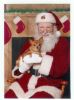 Filename : Ginger and Santa.jpg
Filesize : 29KB
Dimensions : 358x480
Date added : Dec 25, 2006 Ginger and Santa.jpg
