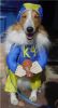 Filename : Howloween 046indigowildR.jpg
Filesize : 95KB
Dimensions : 440x804
Date added : Jul 08, 2006 Howloween 046indigowildR.jpg
