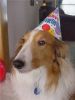 Filename : Jerry BdayR~0.jpg
Filesize : 61KB
Dimensions : 440x586
Date added : Apr 29, 2006 Jerry BdayR~0.jpg