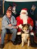 Filename : Pappy Dog w Santa.JPG
Filesize : 26KB
Dimensions : 307x400
Date added : Dec 28, 2009 Pappy Dog w Santa.JPG
