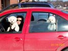 Filename : Paula, Mimi in front, Buddy in back.jpg
Filesize : 63KB
Dimensions : 640x480
Date added : Jan 20, 2007 Paula, Mimi in front, Buddy in back.jpg