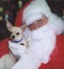 Filename : elley christmas2.jpg
Filesize : 20KB
Dimensions : 400x432
Date added : Mar 10, 2006 elley christmas2.jpg