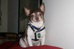 Filename : ginnny.jpg
Filesize : 6KB
Dimensions : 300x199
Date added : Dec 29, 2009 ginnny.jpg