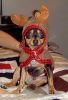 Filename : ricardo.jpg
Filesize : 27KB
Dimensions : 340x496
Date added : Dec 29, 2009 ricardo.jpg