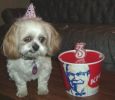 Filename : s bday.jpg
Filesize : 11KB
Dimensions : 300x260
Date added : Mar 10, 2006 s bday.jpg